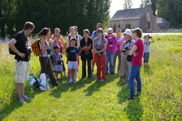 Animation Marais de la Grenouillerie © J.M. Gatineau